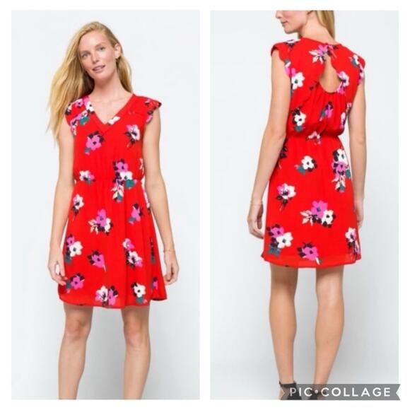 Hawthorn 41 Midnight Scallop Detail Dress - Picture 1 of 7